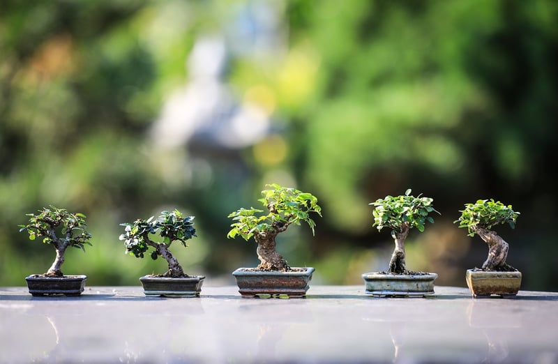 Gardening Landscape Image